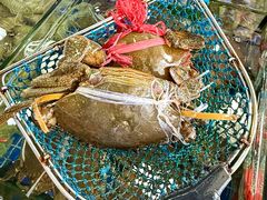 -明记海鲜大排档(巽寮湾店)