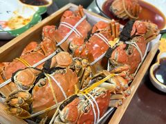 -黄记大闸蟹专卖店·活蟹·醉蟹