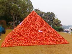 -上海月湖雕塑公园