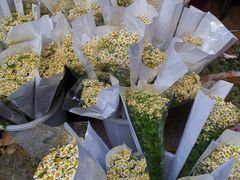 -循礼门鲜花花市(武汉循礼门店)