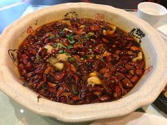 -陈麻婆豆腐总店
