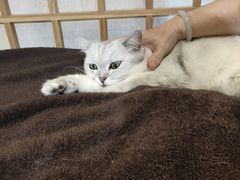 -小时光咖啡馆(开森度假森林店)