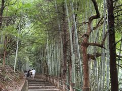 -敬亭山风景名胜区