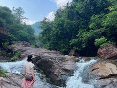 -广州白江湖森林公园