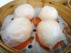 -西苑半岛·中餐厅