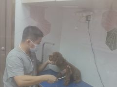 -瑞鹏宠物医院·普外科·影像科·皮肤科(城市山谷分院)