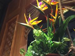 -云海肴·汽锅鸡·云南菜(天山百盛优客店)