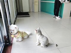 -乐琪宠物医院·犬猫专科·骨外科·急重症