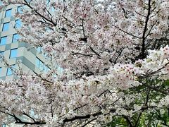 -玛格萝妮比萨屋(四平店)