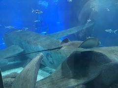 -福州罗源湾海洋世界旅游区