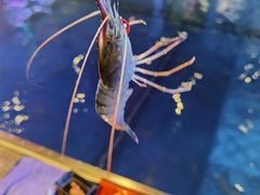 -钳真多钓虾馆·小龙虾海鲜烧烤(九六广场店)