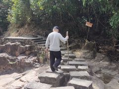 -广州白江湖森林公园