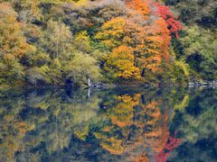 -叠溪松坪沟景区