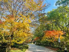 -上海吴淞炮台湾国家湿地公园