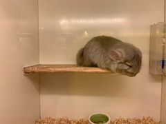 -龙猫仔乐园(惠福东路店)