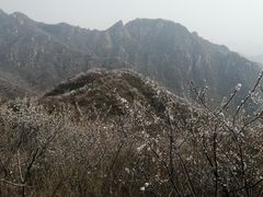 景点-大岭沟猕猴桃谷风景区