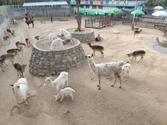 -西安秦岭野生动物园