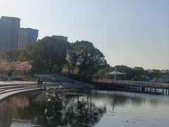 -新江湾城公园