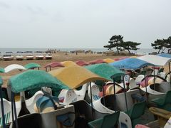 -老虎石海上公园