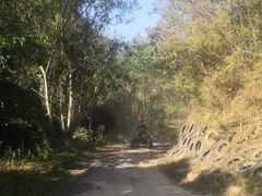 -修水东浒寨风景区