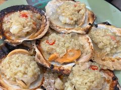 蒜蓉粉丝蒸大元贝-贞姨美食·老字号海鲜大排档