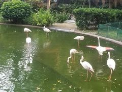 -九龙公园