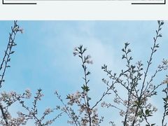 -良渚古城遗址公园