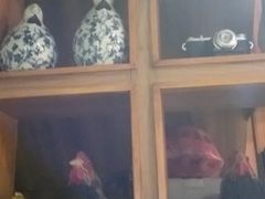 -俭寨大盘鸡·缸子肉·小公鸡·新疆菜(云通店)