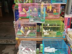 -白纸坊建功北里百姓生活服务中心·佳果多生鲜超市