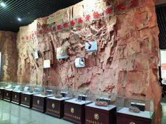 -中国西峡恐龙遗迹园