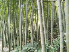 -众神白水涧景区