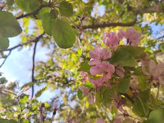 -元大都城垣遗址公园