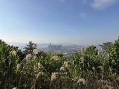 -羚羊峡古栈道森林公园