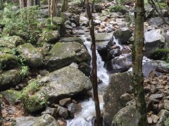 -姑婆山旅游区