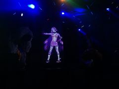 -东京塔海贼王主题公园