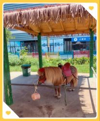 -萌宠亲子动物乐园(槐房万达店)