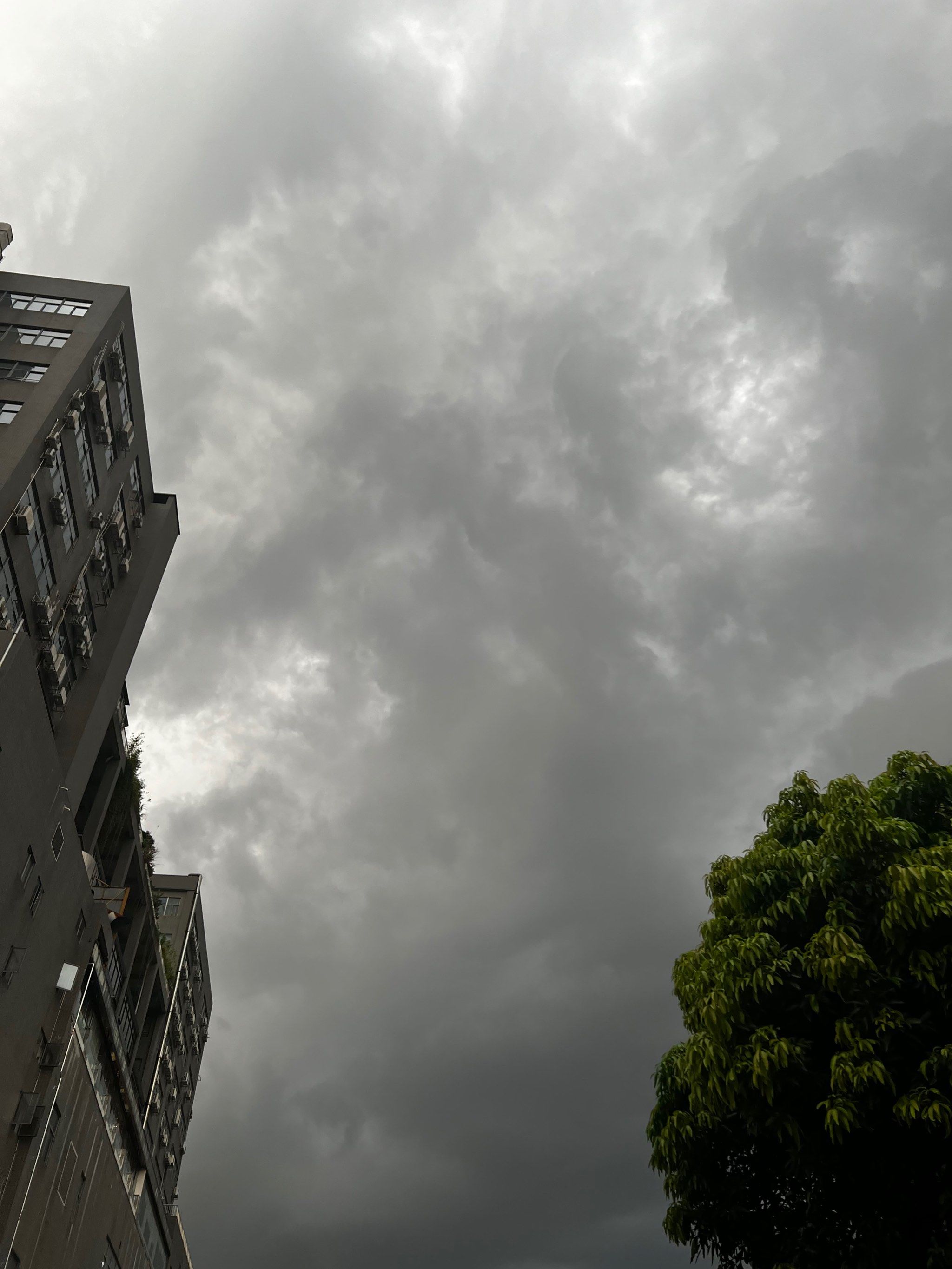 暴风雨来临前的宁静
