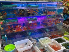 -曲阳花鸟市场(曲阳路店)