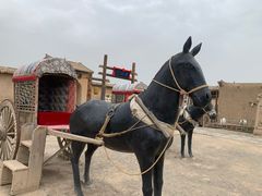 -镇北堡西部影城