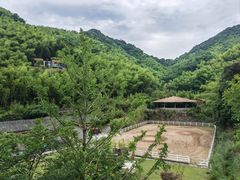 -宁海安岚·南溪阁全日餐厅