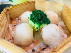 虾饺-明腾壹间茶餐厅(新都会花园广场店)