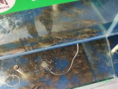 -阳澄湖大闸蟹·琼灵阁牌品牌连锁(吴中总店)