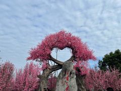 -昌州古城