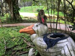 -吉隆坡雀鸟公园