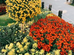 -上海共青森林公园