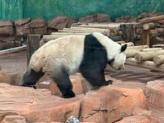 -秦皇岛野生动物园