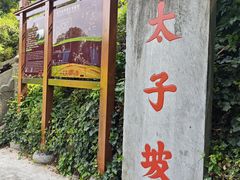 -武当山风景区-太子坡