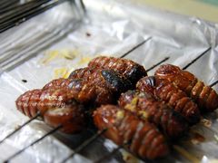 蚕蛹-北三老太太烧烤(人生一串上榜店)