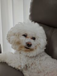 -Pink You美甲洗眉纹绣定制中心