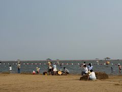 -碧海金沙